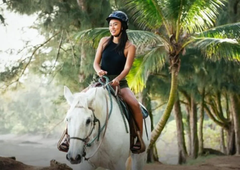 Holiday home Walk To Beach, Pool, Tennis, Golf, Restaurants, Ac -Turtle Bay Hideaway Kahuku