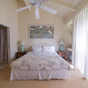 Bird Of Paradise Apartment